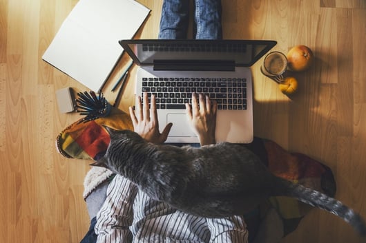 Tips From Remote Workers on Working From Home Effectively