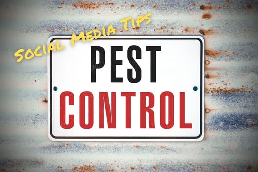 6 Tips to Promote Your Pest Control Business on Social Media