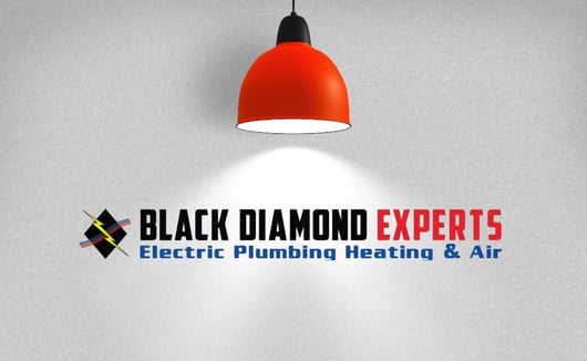 Customer Spotlight: Black Diamond Experts